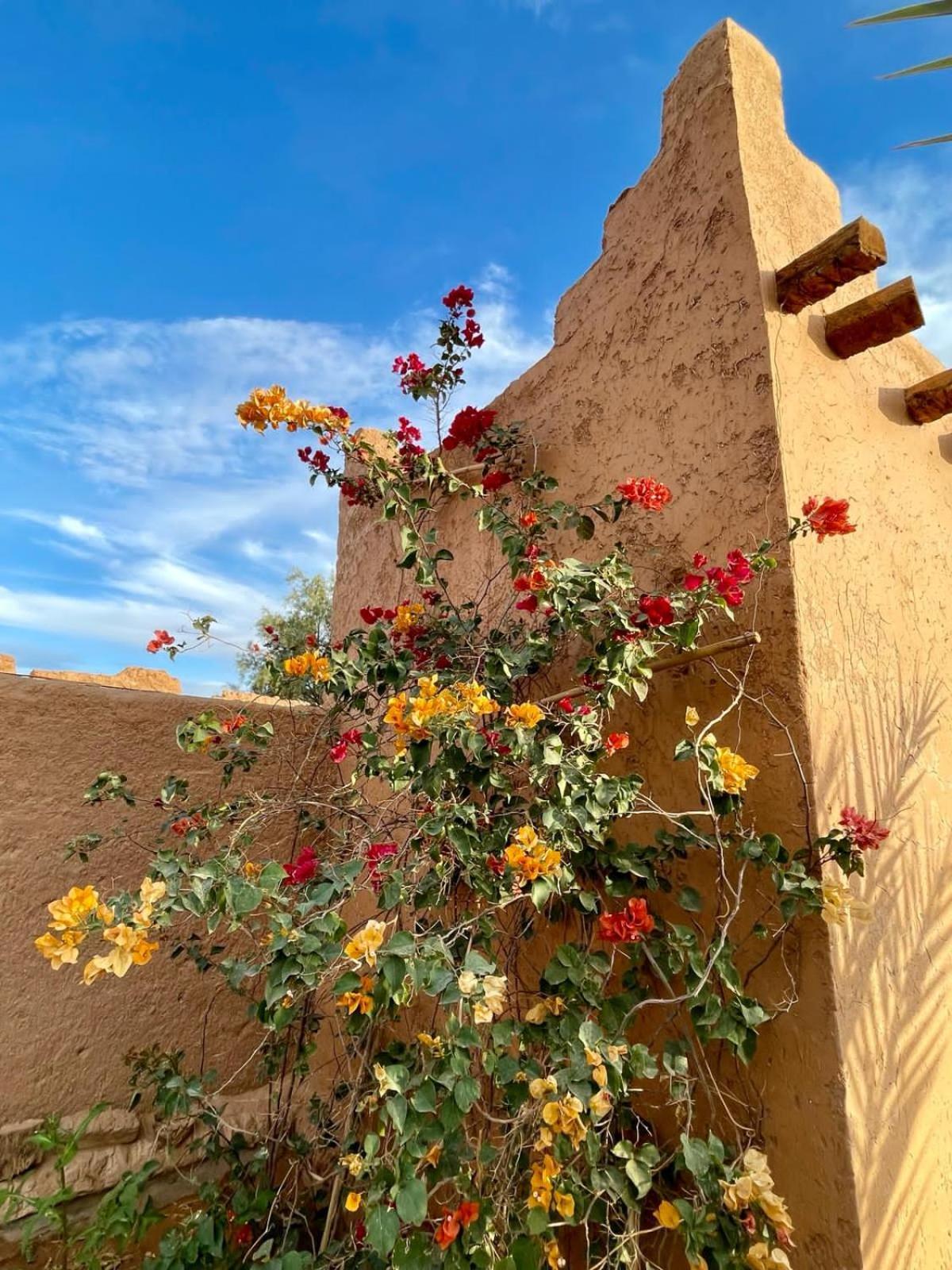 Auberge Kasbah Dar Sahara Tours M’hamid El Ghizlane Exterior foto