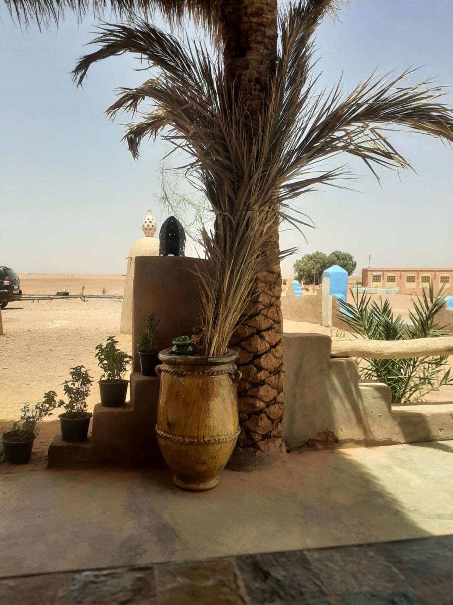 Auberge Kasbah Dar Sahara Tours M’hamid El Ghizlane Exterior foto